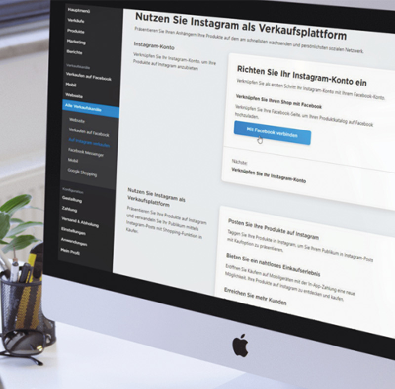 ddr-business-webshop-recht